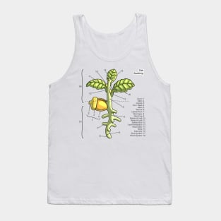 Oak Seedling Diagram Tank Top